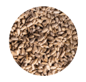 SLIDEROLEOSEEDS2